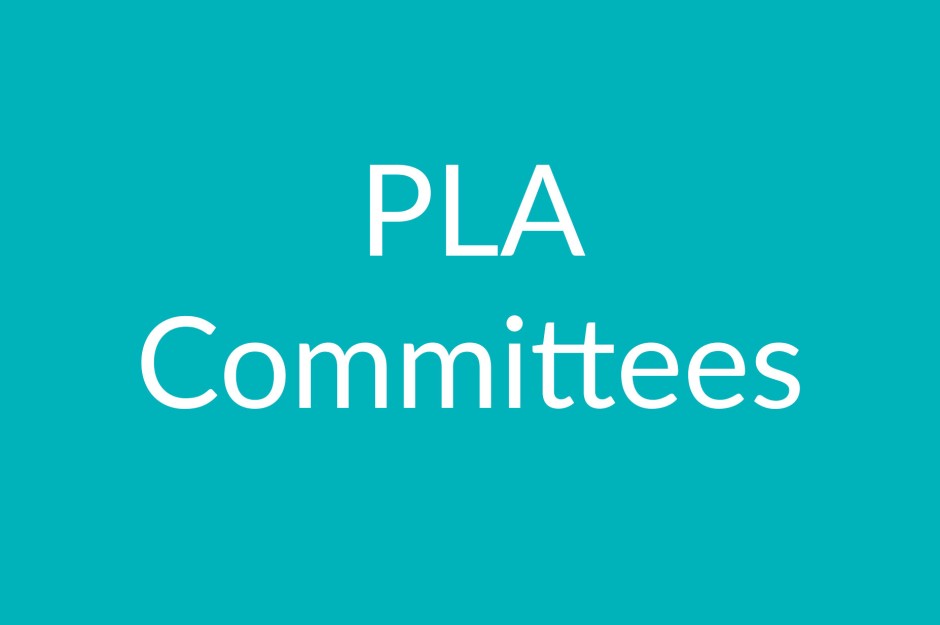 PLA committees