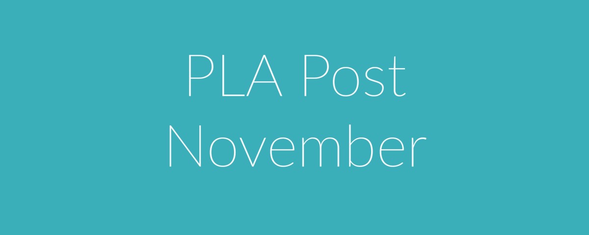 PLA Post November 2025