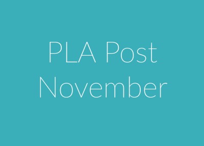 PLA Post November 2025